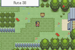Llegada a la Ruta 38 desde Ecruteak City